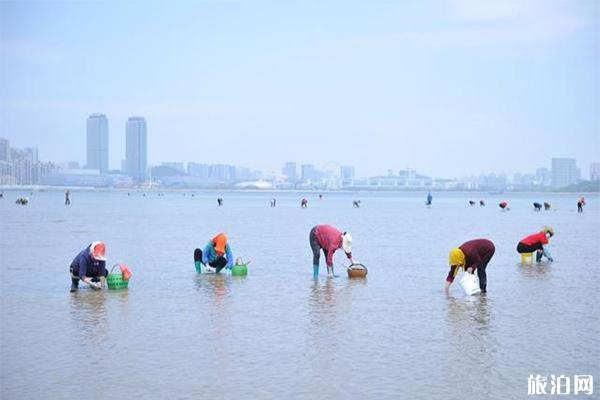 青岛海边有哪些赶海抓螃蟹的地方
